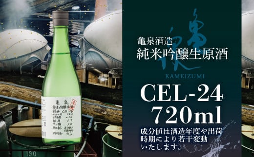 純米吟醸原酒 CEL-24 720ml （生酒） 2本セット お酒 酒 さけ 日本酒 純米吟醸 原酒 アルコール 度数 14度 地酒 亀泉 cel24 セル24 純米吟醸生原酒 人気 甘口 フルーティ
