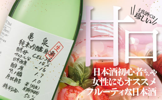 純米吟醸原酒 CEL-24 720ml （生酒） 2本セット お酒 酒 さけ 日本酒 純米吟醸 原酒 アルコール 度数 14度 地酒 亀泉 cel24 セル24 純米吟醸生原酒 人気 甘口 フルーティ