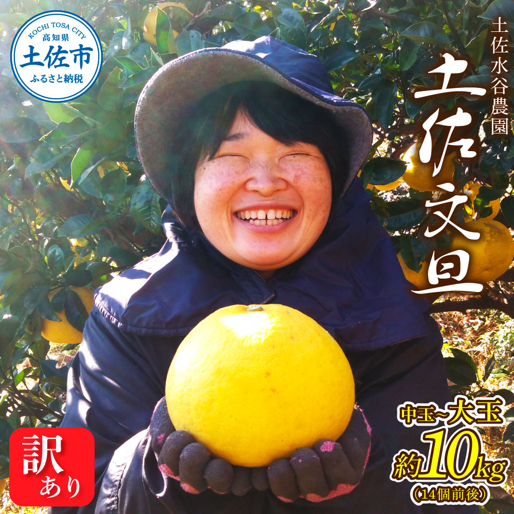 本場、高知県土佐市産！土佐水谷農園の露地土佐文旦 家庭用10キロ 10kg 中玉～大玉（3L～上限なし：14玉前後）皮むき器付き 訳あり