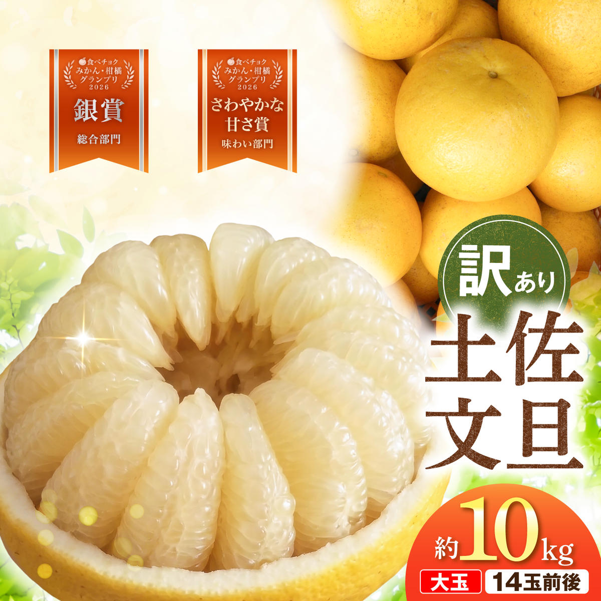 【先行予約】文旦 家庭用大玉 10キロ 10kg（3Lサイズ以上～：14玉前後）〈2027年1月20日～発送〉皮むき器付き 訳あり 文旦 ぶんたん ブンタン 柑橘 フルーツ 大玉【土佐水谷農園】 [BQBD009]