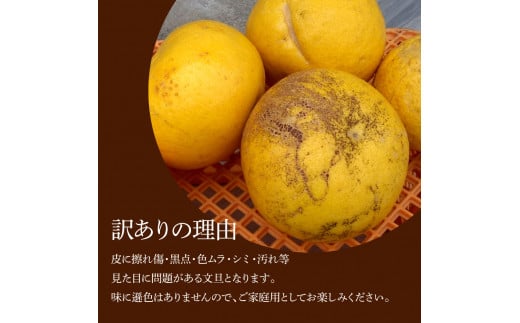 本場、高知県土佐市産！土佐水谷農園の露地土佐文旦 家庭用5キロ 5kg 中玉～大玉（3L～上限なし：7玉前後）皮むき器付き 訳あり
