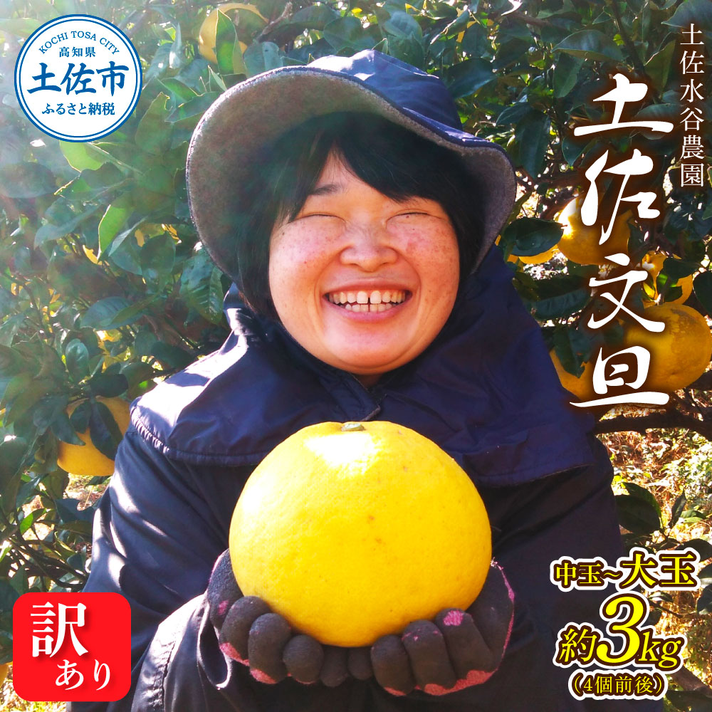 本場、高知県土佐市産！土佐水谷農園の露地土佐文旦 家庭用3キロ 3kg 中玉～大玉（3L～上限なし：4玉前後）皮むき器付き 訳あり
