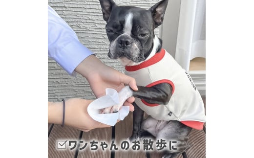 SUITTOロール mini 5個入り 1個240枚 クッキングペーパー クッキングシート キッチンペーパー