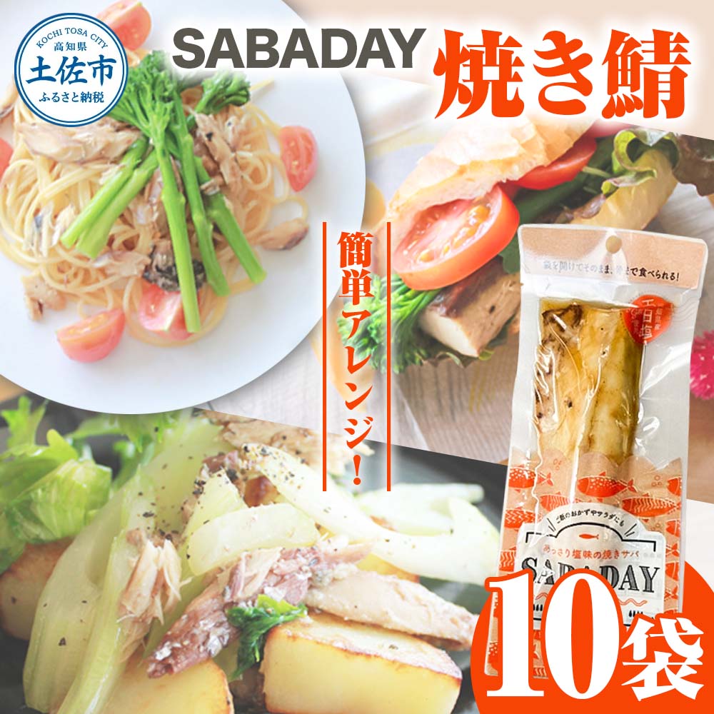 SABADAY 焼き鯖 10枚セット