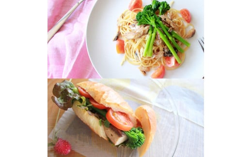 SABADAY 鯖燻製 10枚セット 