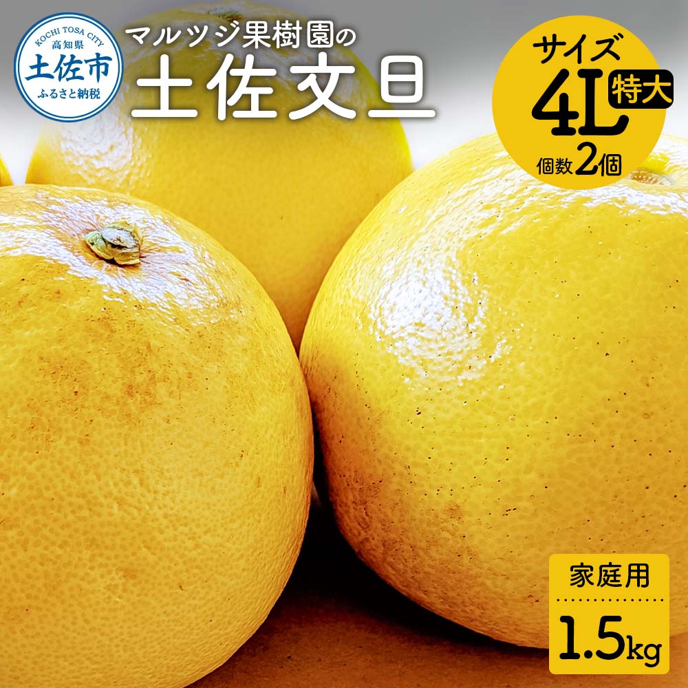 【先行予約】マルツジ果樹園の土佐文旦 家庭用(特大) 約1.5kg 1.5キロ 4Lサイズ 2個入り