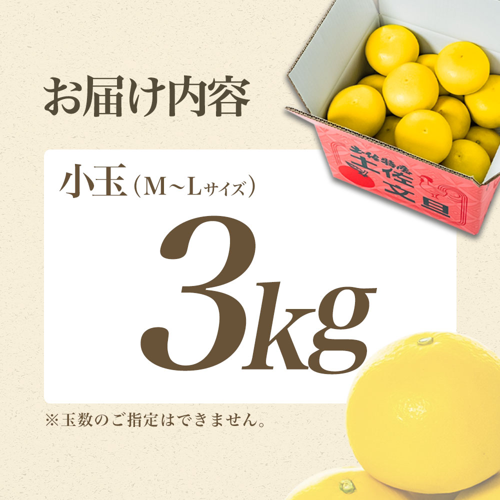 【日本ギフト大賞2024受賞】【先行予約】文旦 小玉3kg（L～M）2026年1月下旬より順次発送 