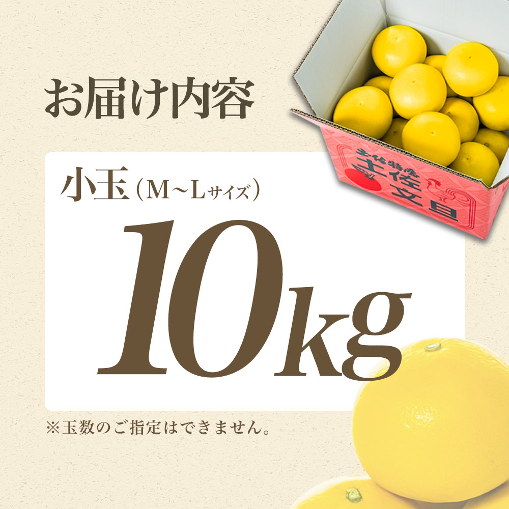 【日本ギフト大賞2024受賞】【先行予約】文旦 小玉 10kg（L～M）2026年1月下旬より順次発送