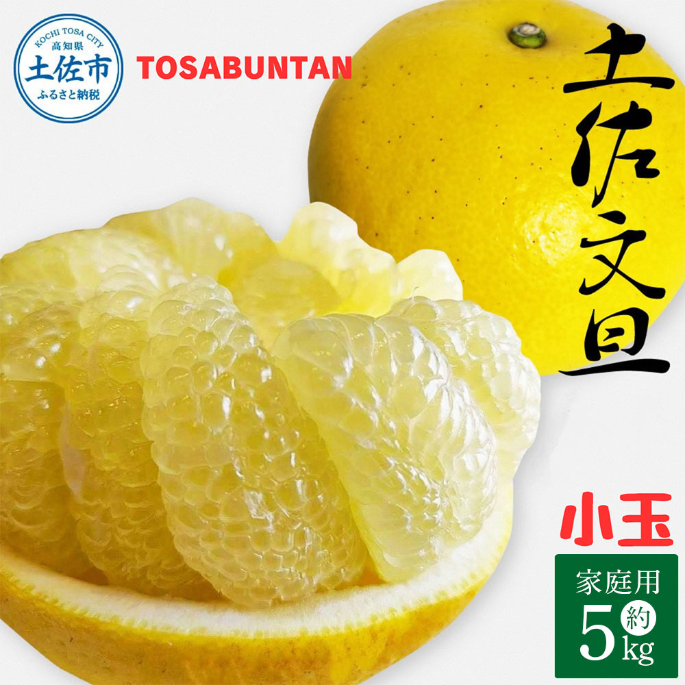 ＜2026年3月より順次発送＞土佐文旦 小玉 家庭用 5kg 11～15玉入り M～Lサイズ