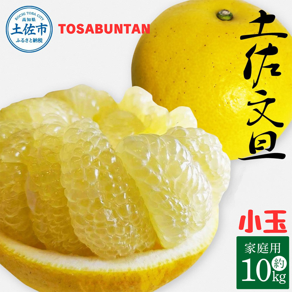 ＜2026年1月下旬より順次発送＞土佐文旦 小玉 家庭用 10kg 23～29玉入り M～Lサイズ 先行予約 文旦 ぶんたん ブンタン 柑橘 フルーツ デザート 果物 ご当地 人気 名産 お取り寄せ 土佐 高知 土佐市