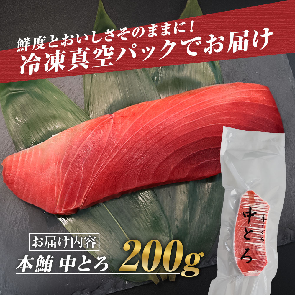 本鮪 中トロ200g 