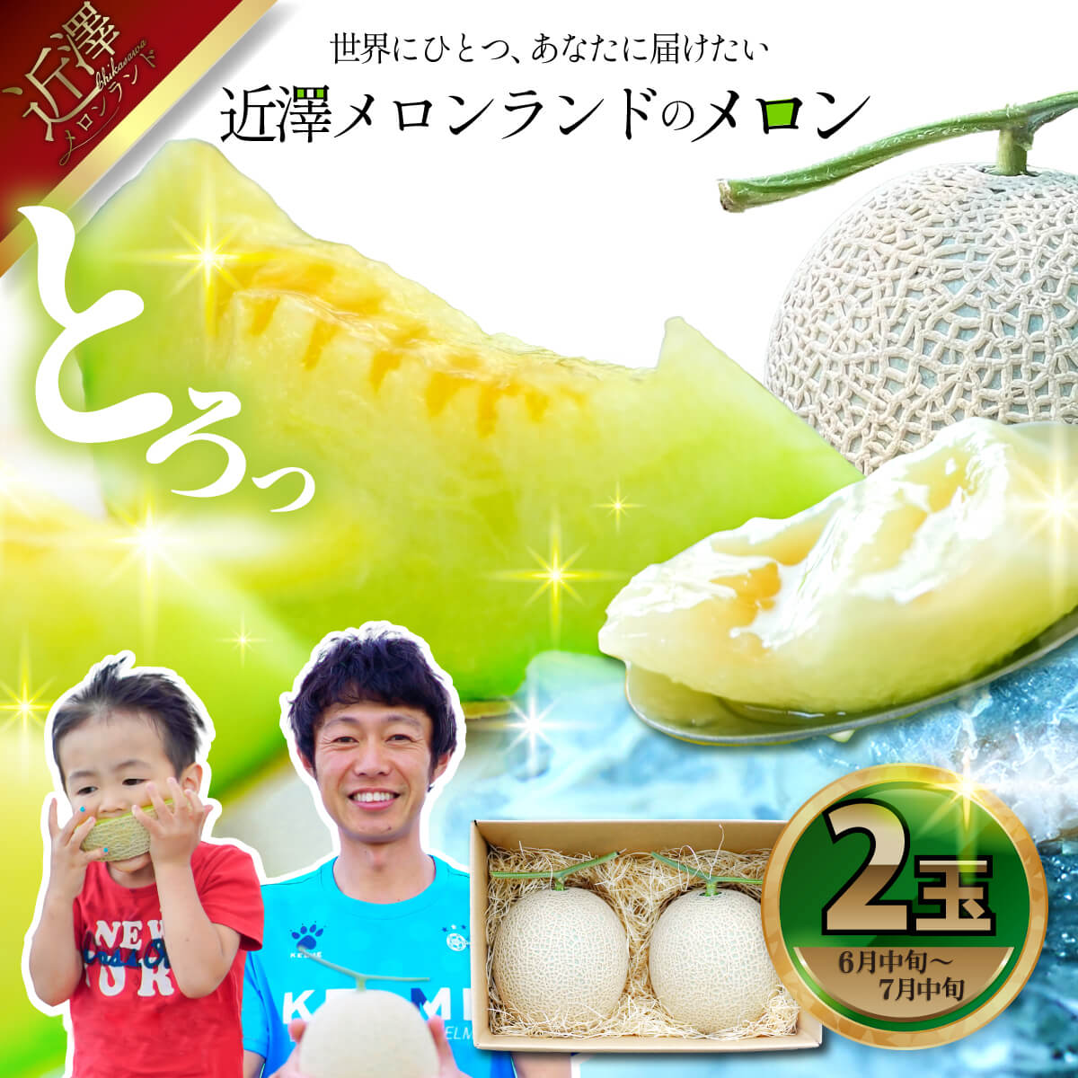 先行予約 メロン ２玉入り（1玉約1.4kg～1.8kg）青肉 2026年夏発送 期間限定