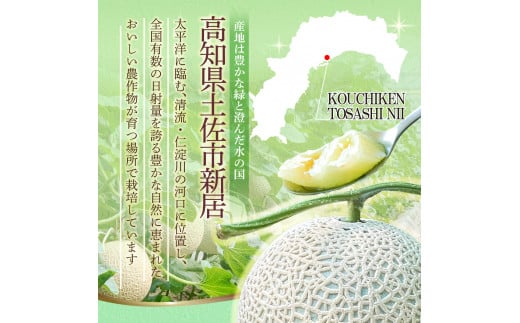 先行予約 メロン ２玉入り（1玉約1.4kg～1.8kg）青肉 2026年夏発送 期間限定