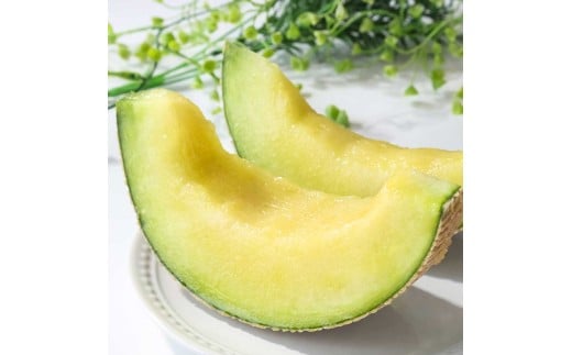 【先行予約】高級土佐アールスメロン2玉入り