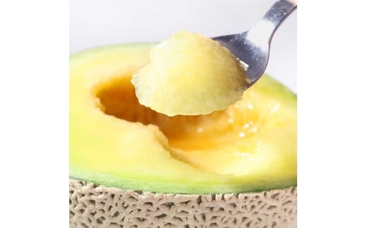 【先行予約】高級土佐アールスメロン2玉入り