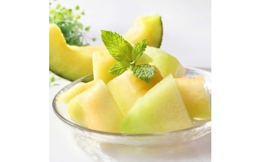 【先行予約】高級土佐アールスメロン2玉入り