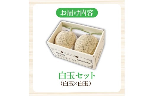 【先行予約】高級土佐アールスメロン2玉入り