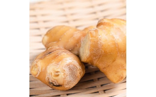 囲生姜 2kg /2キロ しょうが ショウガ 新鮮野菜 野菜 お取り寄せ 美味しい 料理 生姜焼き 薬味 調味料 新鮮 国産 日本産 ジンジャー 常温 配送【JA高知県とさし】 [BQCF007]