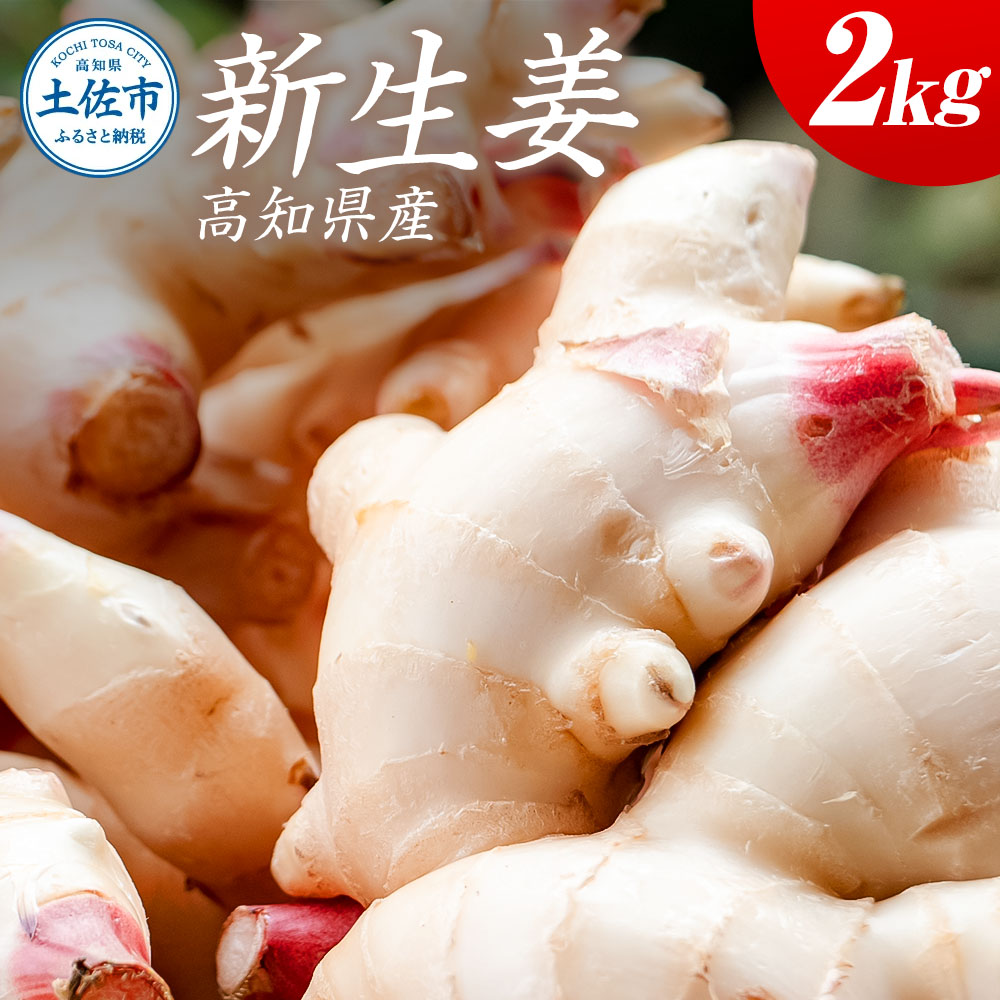 ハウス新生姜 2kg 2キロ しょうが ショウガ 新鮮野菜 野菜 お取り寄せ 美味しい 料理 生姜焼き 漬物 サラダ 新鮮 国産 日本産 ジンジャー 冷蔵 配送