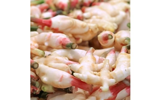 ハウス新生姜 2kg 2キロ しょうが ショウガ 新鮮野菜 野菜 お取り寄せ 美味しい 料理 生姜焼き 漬物 サラダ 新鮮 国産 日本産 ジンジャー 冷蔵 配送