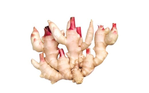 ハウス新生姜 2kg 2キロ しょうが ショウガ 新鮮野菜 野菜 お取り寄せ 美味しい 料理 生姜焼き 漬物 サラダ 新鮮 国産 日本産 ジンジャー 冷蔵 配送