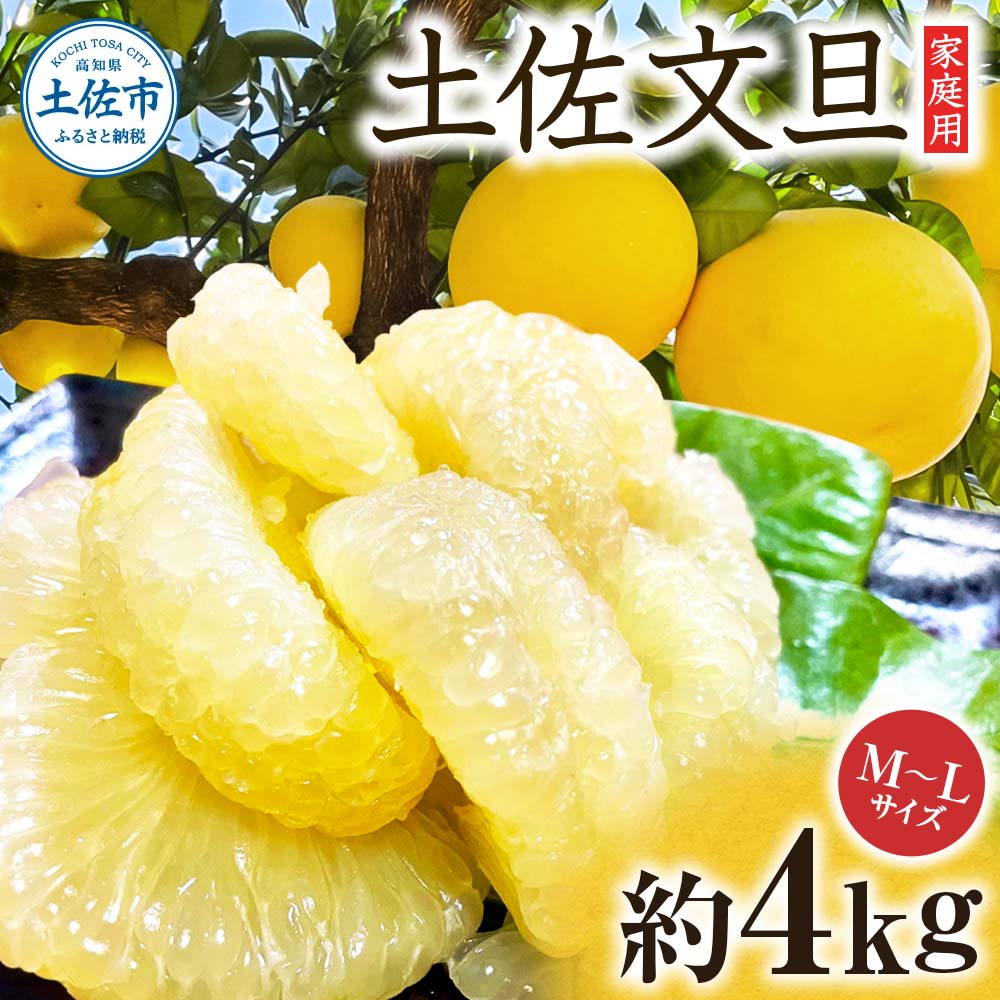 文旦 約4kg M～Lサイズ 9～13玉