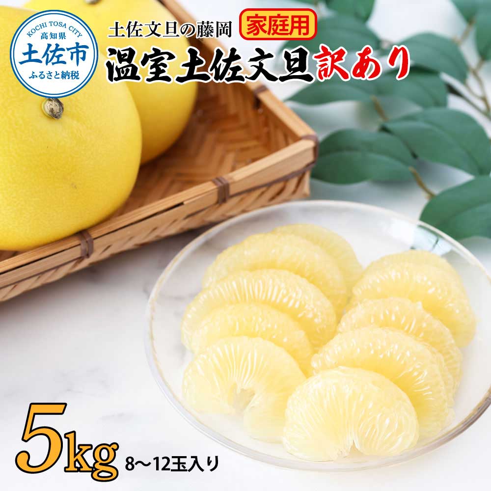 ＜土佐文旦の藤岡＞訳あり 温室土佐文旦 家庭用 5kg (8～12玉）