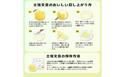 【先行予約】訳あり 温室土佐文旦 家庭用 5kg (8～12玉）〈2026年12月上旬から発送〉/文旦 ぶんたん ブンタン 土佐文旦 ハウス栽培 甘い 柑橘 フルーツ 果物 ご当地 産地直送 お取り寄せ【土佐文旦の藤岡】 [BQBJ005]