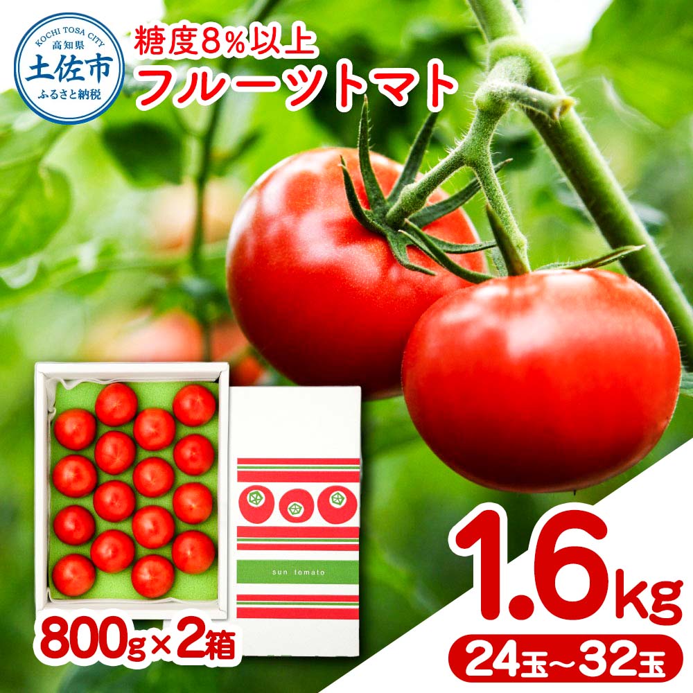フルーツトマト 約1.6kg(約800g×2) 24～32玉入り 糖度 8度以上