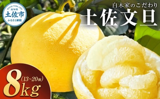 【先行予約】白木家のこだわり土佐文旦 露地 文旦 約8kg 13～20個入り L～3Lサイズ混合 〈2027年2月上旬～3月上旬頃発送〉ぶんたん ブンタン 果物 柑橘 フルーツ お取り寄せ 特産品 美味しい 高知県産 ギフト【株式会社とさもん】[BQAE041]