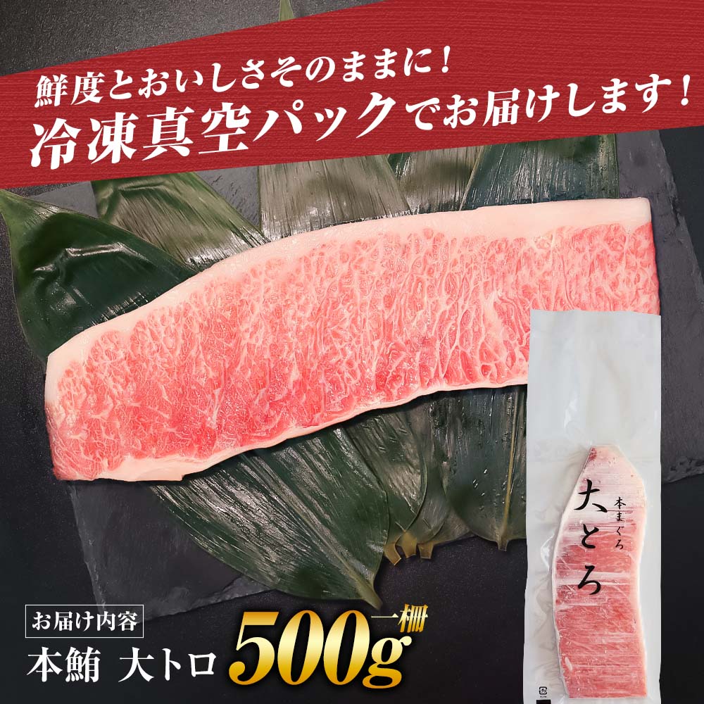本鮪 大トロ500g