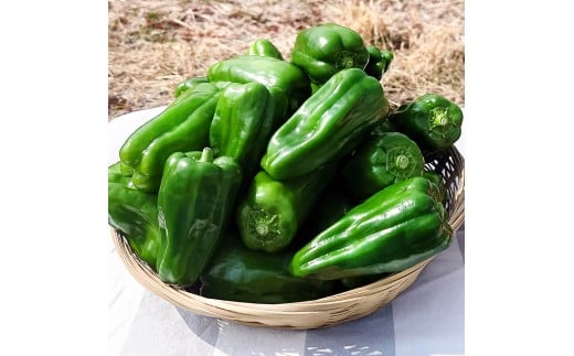 ハッピーマン＆完熟トマトセット 2kgセット 2キロセット ピーマン とまと 野菜 やさい おかず 副菜 新鮮 おいしい 採れたて 国産 お取り寄せ 常温 高知県 高知 土佐市