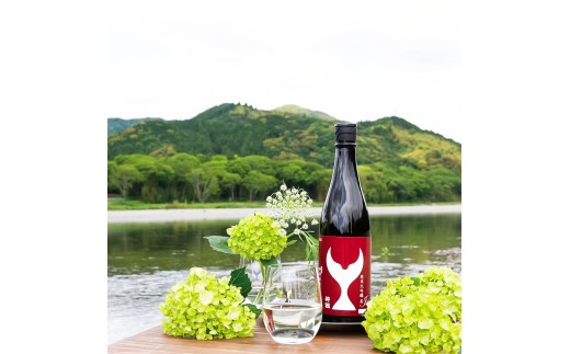 日本酒 酔鯨飲み比べセット 純米大吟醸弥（Ya）象（Sho）丞（Joh）寅（Tora）兵庫山田錦50% 純米吟醸高育54 720ml 各1本 合計6本 お酒 酒 さけ すいげい 地酒 アルコール おさけ 食中酒 おいしい ギフト お祝い 父 誕生日 冷蔵 配送