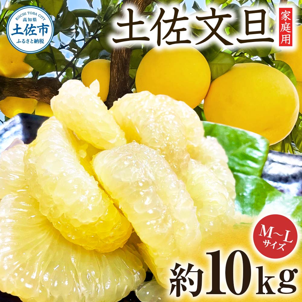 文旦 約10kg M～Lサイズ 24～30玉 ぶんたん ブンタン フルーツ 柑橘 みかん 果物 くだもの 柑橘類 デザート 家庭用 プレゼント ギフト お取り寄せ 国産 常温 配送