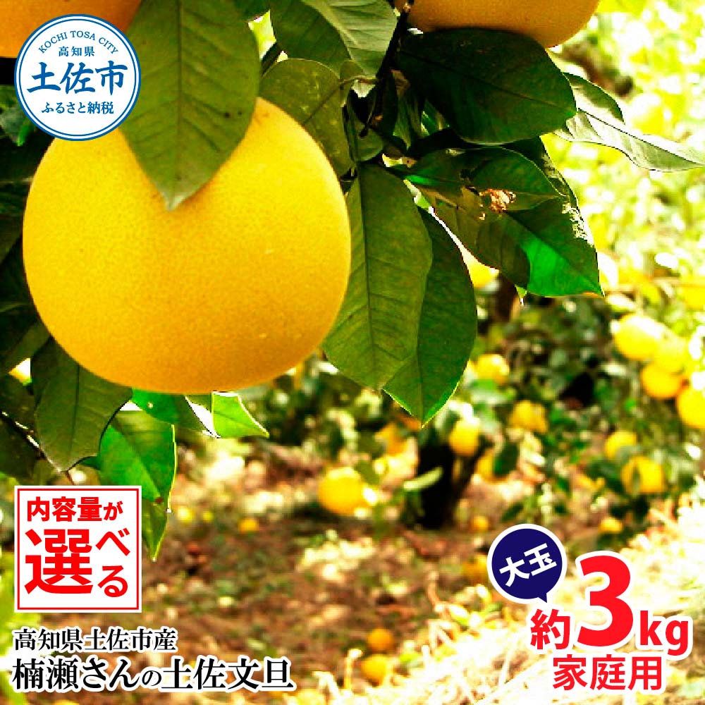 楠瀬さんの土佐文旦 家庭用大玉 約3kg 約3キロ 4L～2L ぶんたん ブンタン フルーツ 柑橘 みかん 果物 くだもの 柑橘類 デザート おやつ さっぱり おいしい 甘い お取り寄せ 国産