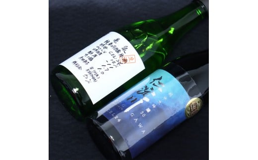 仁淀川純米大吟醸 CEL-24 亀泉純米吟醸 CEL-24 2本セット 高知県 土佐市 こうち 返礼品