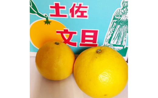 åäœææŠ å®¶åºçš çŽ10ããïŒ2Lïœ4Lãµã€ãºïŒ16ïœ21ç) 倧ç å
è¡äºçŽ æ°ééå® ææŠ ã¶ããã ãã³ã¿ã³ åäœææŠ ææ© ãã«ãŒã æç©