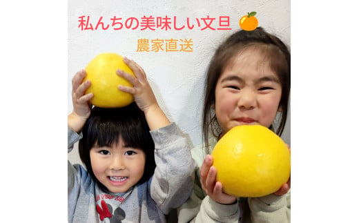 åäœææŠ å®¶åºçš çŽ10ããïŒ2Lïœ4Lãµã€ãºïŒ16ïœ21ç) 倧ç å
è¡äºçŽ æ°ééå® ææŠ ã¶ããã ãã³ã¿ã³ åäœææŠ ææ© ãã«ãŒã æç©