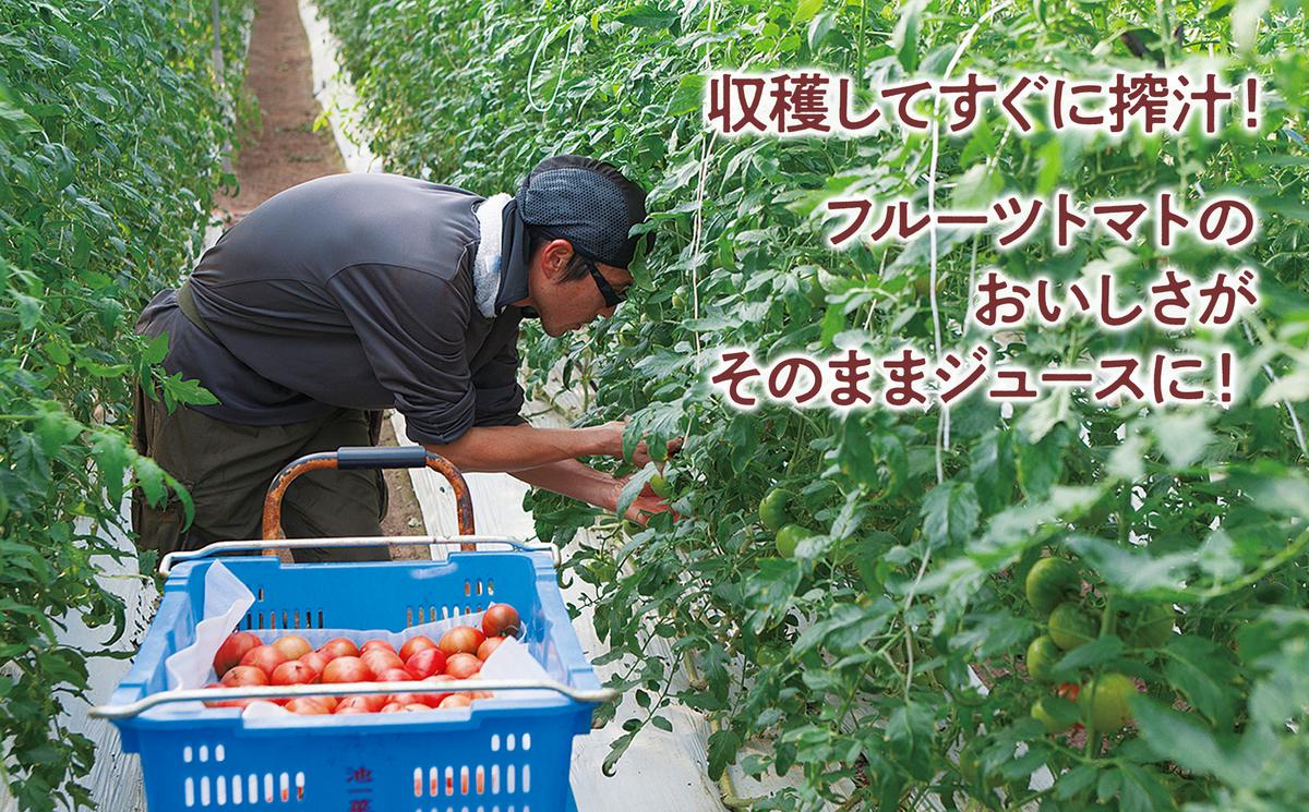 トマトジュース 無塩 無添加 毎日フルトマ（レッド100ml）12本セット 100ml × 12本入 1本に約5個分のフルーツトマト 糖度8度以上 ドリンク 飲み物 【池トマト】 [BQAG003]