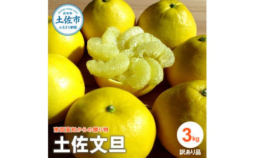 『南国高知からの贈り物』土佐文旦 【訳あり（家庭用）】3kg 3キロ 5玉～7玉入 期間限定 数量限定 文旦 ぶんたん ブンタン 柑橘 みかん 果物 フルーツ ワケあり 甘い 美味しい