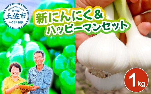 新にんにく＆ハッピーマンセット 約1キロ 約1kg ニンニク 新ニンニク ピーマン 野菜 やさい おかず 副菜 お弁当 新鮮 おいしい 採れたて 国産 お取り寄せ