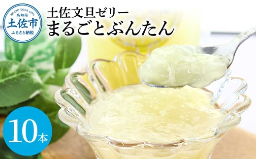 土佐文旦ゼリー『まるごとぶんたん』10本セット ゼリー飲料 ぜりー ブンタン ぶんたん フルーツ 果物 柑橘 みかん お菓子 おかし おやつ デザート スイーツ おいしい 爽やか シャーベット お取り寄せ