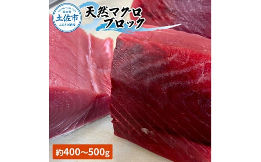 天然マグロ ブロック 約400～500g 4～6人前 まぐろ 赤身 鮪 魚 さかな 海鮮 魚介 海の幸 赤身 お刺身 海鮮丼 お寿司  食品 天然 国産