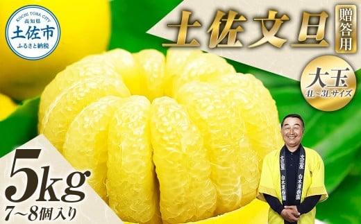 【果樹園直送】土佐文旦 特選品贈答用 約5kg 3L～4Lサイズ 7～8個入り 大玉 ぶんたん ブンタン フルーツ 柑橘 みかん 果物 くだもの 柑橘類 デザート 白木果樹園