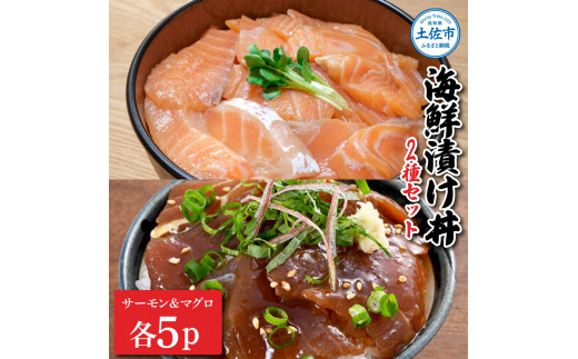 土佐の海鮮漬け丼（サーモン・まぐろ）各5袋セット 1パック60g 漬け丼 海鮮丼 マグロ丼 サーモン丼 鮪 まぐろ おかず おつまみ 惣菜 魚介類 海鮮 お取り寄せ