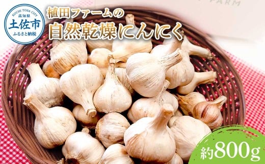 植田ファームの自然乾燥にんにく800g 800グラム ニンニク ガーリック おつまみ お酒 料理 醤油漬け ガーリックオイル ペペロンチーノ パスタ スパゲッティ ステーキ 無農薬 美味しい
