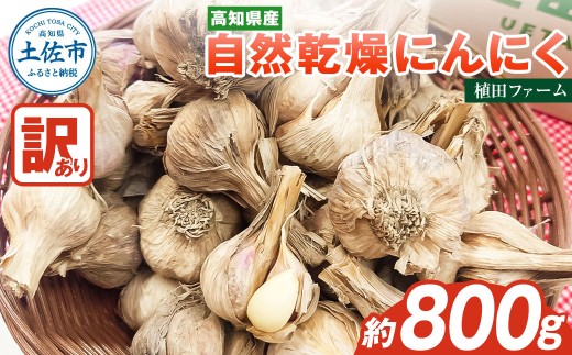 訳あり 植田ファームの自然乾燥にんにく800g 800グラム ニンニク ガーリック お酒 料理 醤油漬け ガーリックオイル ペペロンチーノ パスタ スパゲッティ ワケアリ 家庭用 ご自宅用 常温 送 高知県 高知 土佐市 税 返礼品