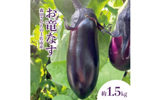 森田さんちの土佐市産お竜なす 約1.5kg 1.5キロ 16～21本 1本約80g 茄子 ナス なすび 野菜 新鮮 焼き茄子 煮浸し 漬物 浅漬け ぬか漬け 味噌汁