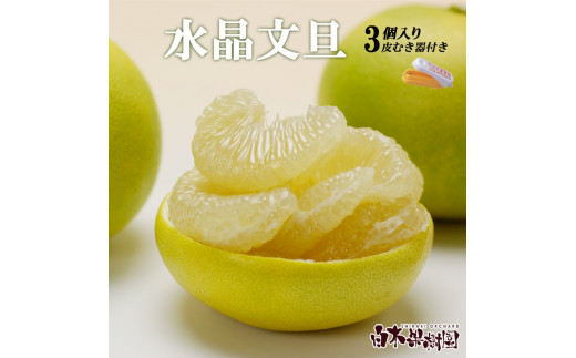 水晶文旦 柑橘皮むき器付き 約1.2kg Lサイズ （3個入り）文旦 ブンタン ぶんたん 水晶文旦 果物 柑橘 フルーツ 秋 旬  返礼品 高知県 高知