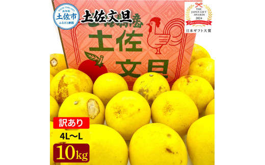 日本ギフト大賞受賞 園主こだわり土佐文旦 訳あり(4L～L）10kg 10キロ 文旦 土佐文旦 ワケアリ ぶんたん ぼんたん フルーツ 果物 柑橘 みかん 蜜柑 家庭用 自宅用 高知 土佐 国産 常温
